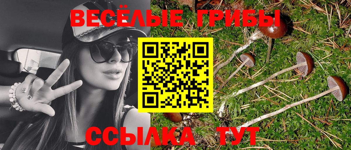 Псилоцибиновые грибы Psilocybine cubensis  где продают   Вход с VPN  Фролово  Псилоцибиновые грибы Cubensis 